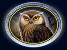 Символ игрового автомата Tales Of Darkness Full Moon Сова